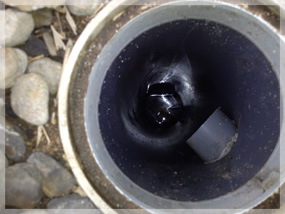排水管の画像